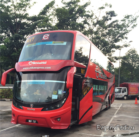 10-81-bus