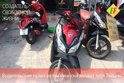 Права в Тайланде